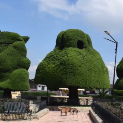 Tour Monguí, Tibasosa y Tópaga (6)