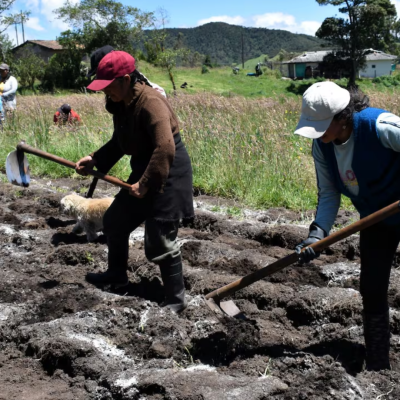 Tour Mujer Encantadora (4)