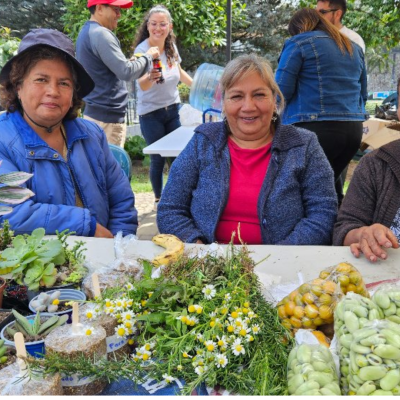 Tour Mujer Encantadora (5)