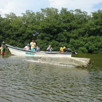 Tour Pesca Con Los Nativos De La Boquilla (2)