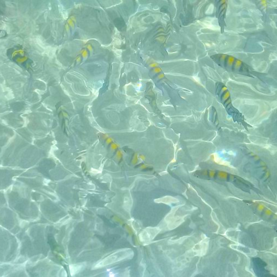 Tour Playa de Cristal (5)