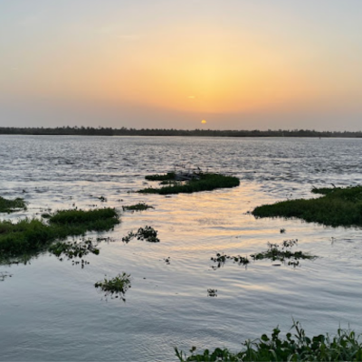 Tour Por El Rio Magdalena (6)