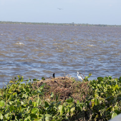 Tour Por El Rio Magdalena (7)