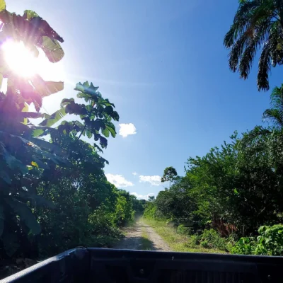 Tour-Putumayo-y-Ecuador-Salvaje-9-Días-y-8-Noches-_5_