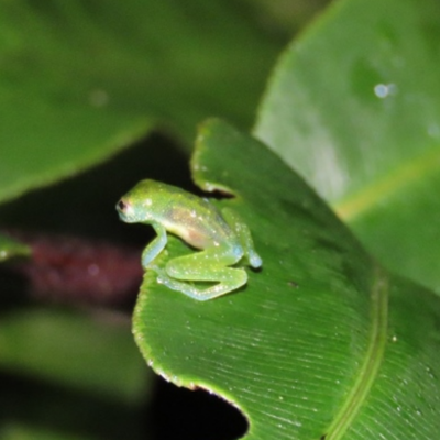Tour Sana Con la Naturaleza (3)