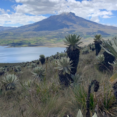 Tour Sana Con la Naturaleza (6)