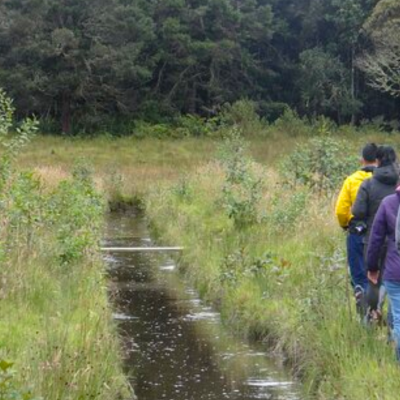 Tour Senderismo por Nariño (3)