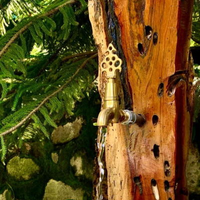 Tour Termales de Rivera