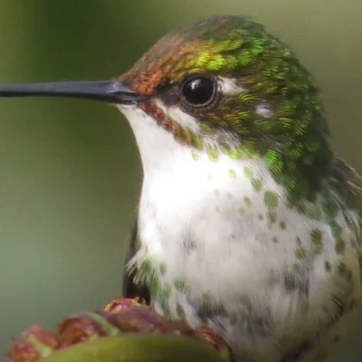 Tour-a-Carmen-de-Atrato-_2_