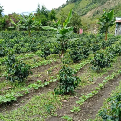 Tour-a-Carmen-de-Atrato-_3_