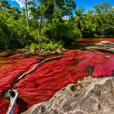 Tour-cano-cristales-1
