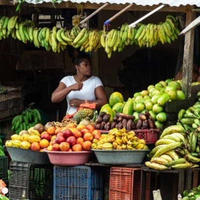 Tour-gastroquibdo-_2_