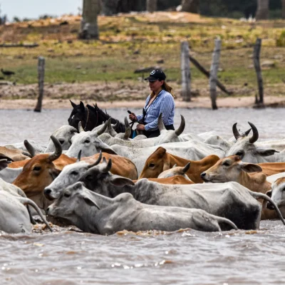 Trabajo-de-Llano-_4_