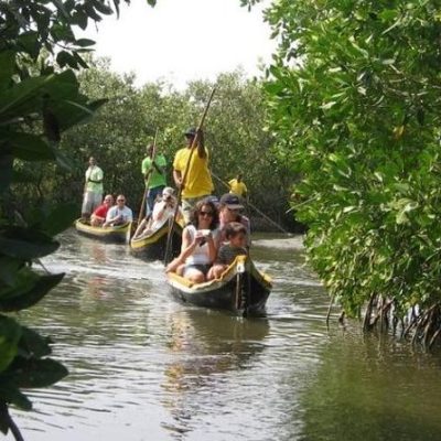 Tour Manglares en Barú