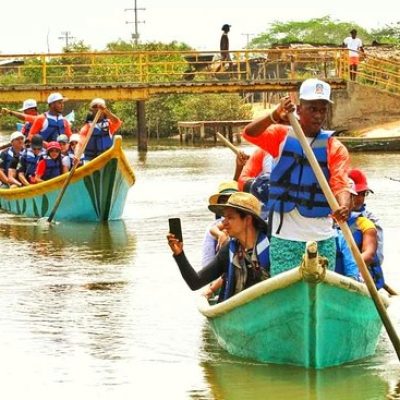 Tour Manglares en Barú