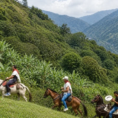 caballos-med-