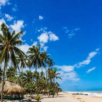 Tour Palomino​