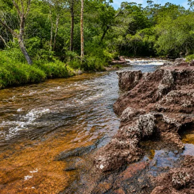 guaviare-_5_