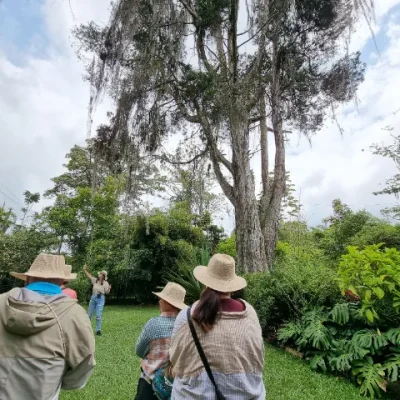 hacienda coloma tour